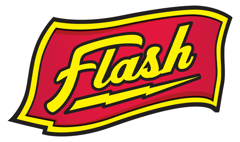 The Flash | WeGotTeam